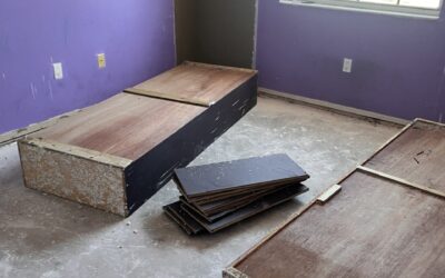 How To Remove Moldy Furniture – Miami